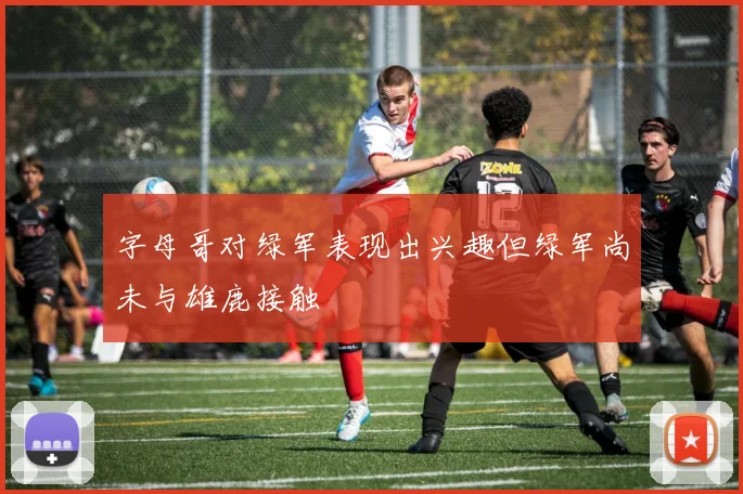 字母哥对绿军表现出兴趣但绿军尚未与雄鹿接触