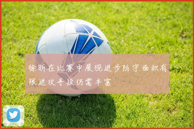 徐昕在比赛中展现进步防守面积有限进攻手段仍需丰富