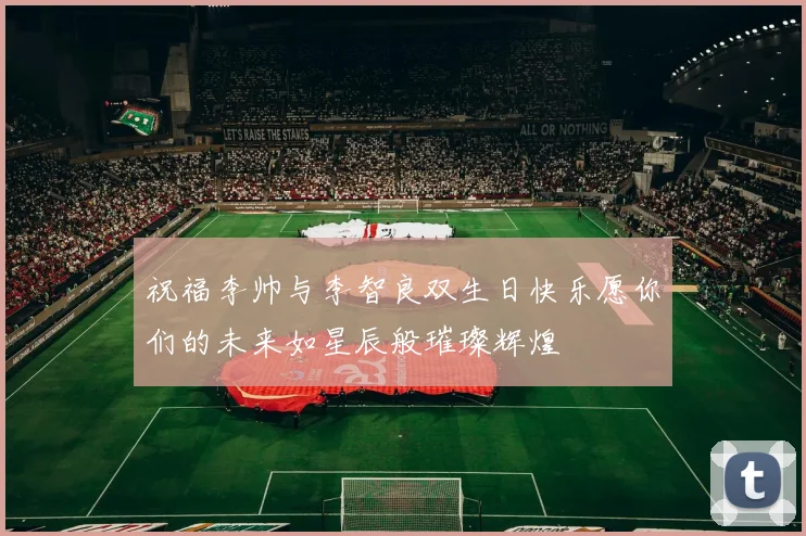 祝福李帅与李智良双生日快乐愿你们的未来如星辰般璀璨辉煌
