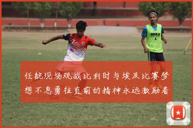 任航现场观战比利时与埃及比赛梦想不息勇往直前的精神永远激励着我们